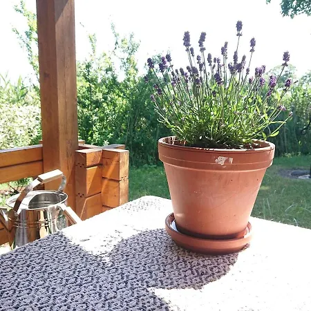 Holiday home Gemuetliches Haeuschen In Phili *